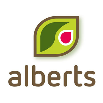 Alberts